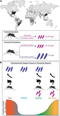 Maternally Instigated Diapause in Aedes albopictus: Coordinating Experience and Internal State for Survival in Variable Environments